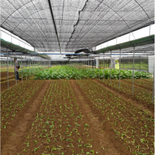 Light 60gsm Greenhouse Shade Net Agriculture Farm Orchard Outdoor Shade Net Cover thumbnail-5