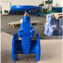DN150 6'' Resilient Seated Non-Rising Stem Gate Valve BS5163 Side Flange Drilling to BS4504 PN16 Z45X Di Body Gate Valve thumbnail-5