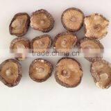 Polish Wild Dried Mushrooms thumbnail-5