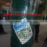 China Factory Green Color 1/2 Inch Vinyl Coated Welded Wire Mesh thumbnail-1