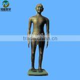 Shanghai, Chinon, 60cm Standard Anatomical Acupuncture Human Body Sims thumbnail-2