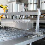 DHC-250P Ampoule Blister Packing Line thumbnail-4