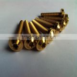 ISO14583 titanium M5x20 Torx socket pan head manufacturer screws ti 6al4v