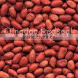 2011 New Crop of Red Skin Peanut Kernels