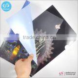 Promotion Office&school Gifts Plastic Folder/file Folders/pp Folders