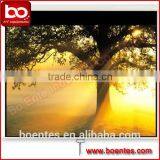 Wall Mounted Matte White Manual Projection Screen With Self-locking for Office Equipment thumbnail-5