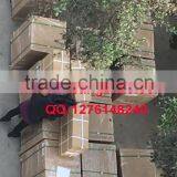 37KW Solar Pump Invertor for Irrigation Pumps thumbnail-5