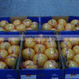 Chinese Fresh Honey Pomelo Citrus Fruits With Wholesales Price thumbnail-6