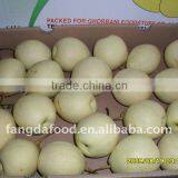 China Hebei Fresh Ya Pear/golden Pear thumbnail-1
