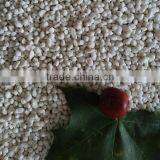 Ammonium Sulphate Specification thumbnail-1