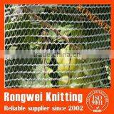 Grape/Apple Orchard Anti Hail Netting With UV Protection