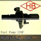Fuel Injection Pump 178F thumbnail-1