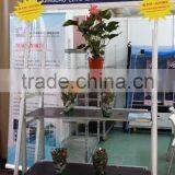 Display Flower Trolley / Greenhouse Cart thumbnail-1