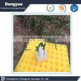 Singapore Foam Tray Seed Hydroponic Seedling Cultivation Foam for Soilless Culture thumbnail-4