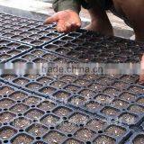 50 Cell, 242 Cell Seedlings Trays Wholesale thumbnail-1