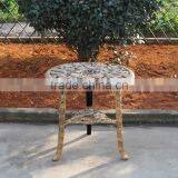 Plastic Beach Chair and Table with rose pattern design