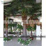 Garden/landscaping/home Decorative Indoor Palm Trees thumbnail-2