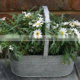 Zinc Planter and Gavanized Flower Pot With Handle From Viet Nam thumbnail-1