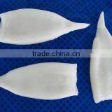 Squid Tube U5 thumbnail-1