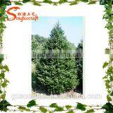 Hot Selling Artificial Plant High Sumulation Artificial Plant Indoor Decor Artificial Plants thumbnail-3