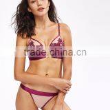Runwaylover Hot Sale Sexy Wine Embroider Hot Bra Set thumbnail-4