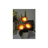 Solar Power LED African Daisy thumbnail-1