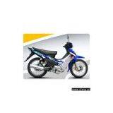 Cub (YG110-E) thumbnail-1