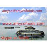 Tilapia Fillet Cage Farmed thumbnail-1