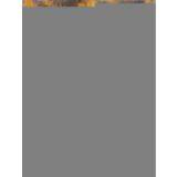 Sell Dyed Muslin Background thumbnail-1