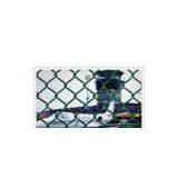 PVC Coated Fence, Residential Guardian Fence, Prison Protect Fence, Palaestra Fence, Brige Fence, Factory and Minel Fence, Building Fence thumbnail-1
