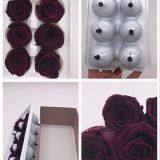 Preserved Rose Flowers for Wedding Decoration Flower Arrangement thumbnail-4