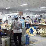 Tianchan Crafts Co. LTD company overview - view 3 thumbnail