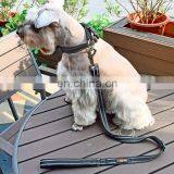 Pet Supplies Soft & Comfy Pastel Color Padded Dog Collar, Matching Leash & Harness Available Separately Pet Products thumbnail-3