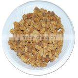 Cheap Price Natural Freeze Dried Mulberry for Sale thumbnail-1