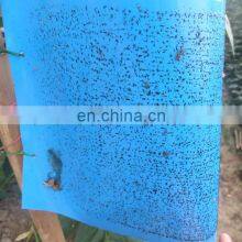 Insect Pest Fly Yellow Sticky Fruit Fly Gnat With Mosquito Trap Mosquito Killer Catcher Strong Glue+paper+fly Bait 2 Year thumbnail-4