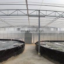 Heavy Duty UV Treated Waterproof Transparent Tarp Clear PE Tarpaulin for Greenhouse Poultry Cover thumbnail-2