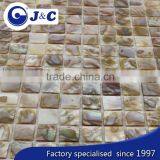 Low Price Natural River Shell Mosaic for Decoration thumbnail-2
