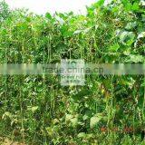 Selling All Kinds of Aluminum Fence Parts thumbnail-1