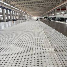 Polyester Fiber Protective Net h Pet600-400ms, Plastic False Roof Net for Underground Coal Mines, Final Mining 415kn thumbnail-3