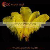 China HX Wholesale Cheap Big Size White Ostrich Feathers for Sale thumbnail-4
