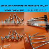 Roofing Screw Nail With Twisted Shank Factor Price China