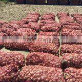 Jinxiang Garlic Normal White Fresh Garlic New Crop thumbnail-5