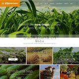 Small Business Website Design thumbnail-3