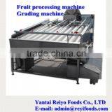 Cherry Grading Machine / Cherry/tomato Grading Machine thumbnail-2