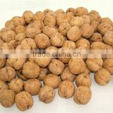 chinese organic raw walnuts in shell price walnut