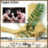 100% natural health products Tongkat ali extract powder for dietary supplement