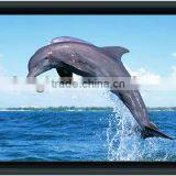 Elegant Frame Projection Screen/ Home Theatre Projector Screen