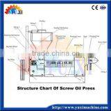 Cost Effective of Cotton Seeds Oil Extruder With Canton Fair Show thumbnail-6