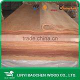Natural Gurjan Veneer for India Market 0.3mm & 0.5mm thumbnail-5