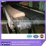 High Performance Chemical Resistant Conveyor Belt With ISO Standard
